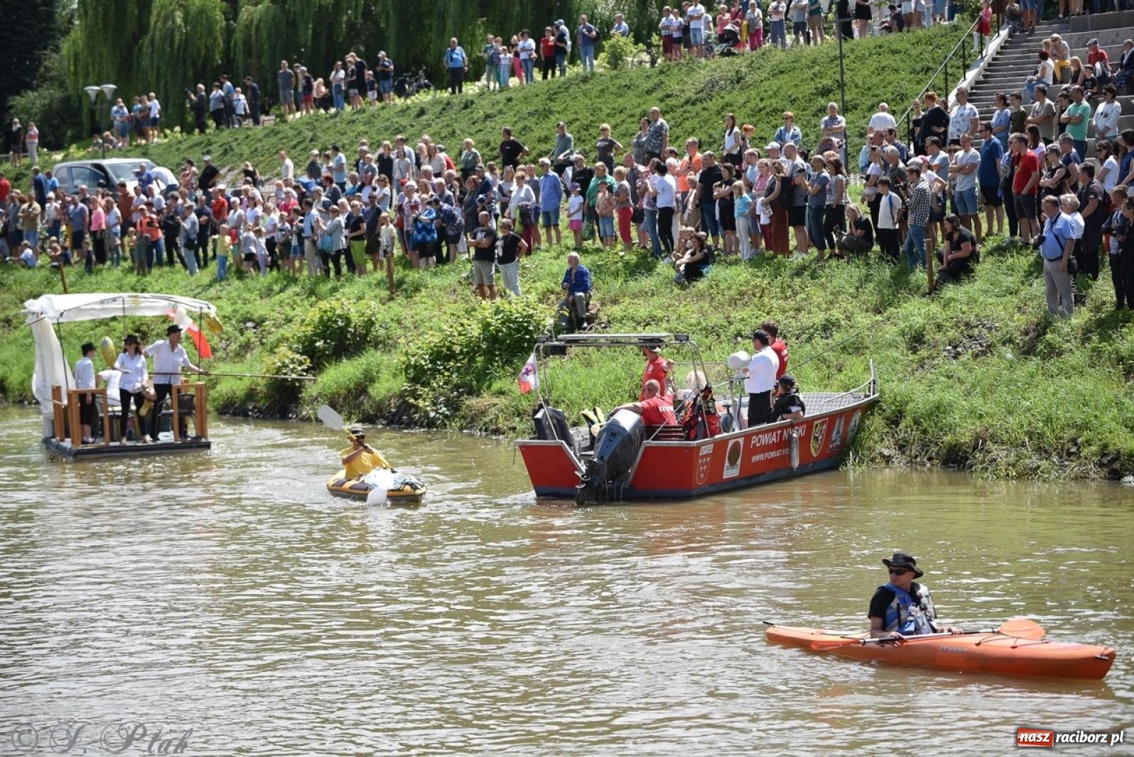 Zdjęcie w galerii na portalu naszraciborz.pl: Pływadło 2024 na bis! Tak to wyglądało w Raciborzu [FOTO] wiadomości z regionu