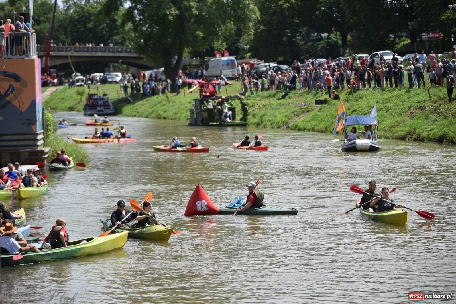 Zdjęcie w galerii na portalu naszraciborz.pl: Pływadło 2024 na bis! Tak to wyglądało w Raciborzu [FOTO] wiadomości z regionu