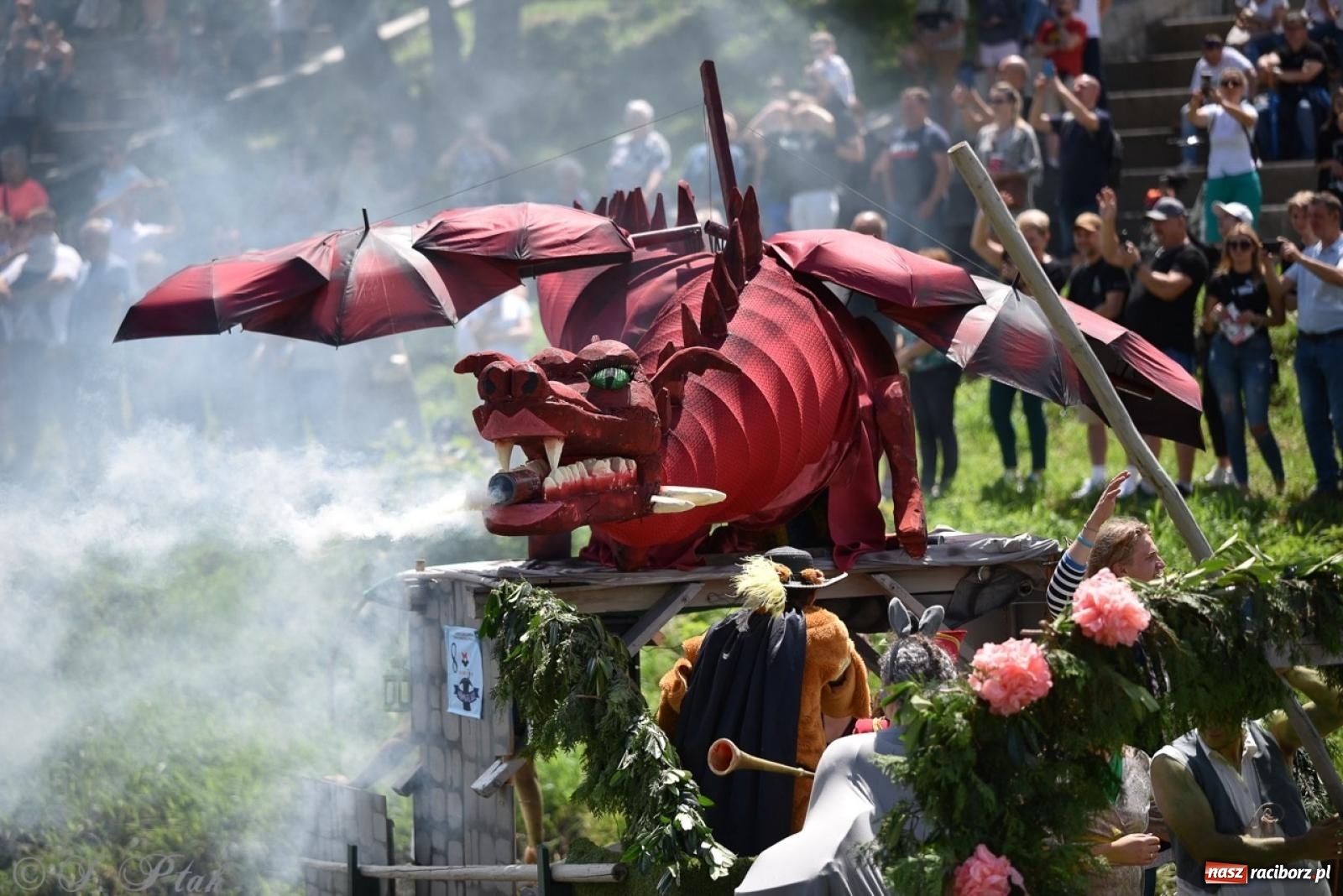 Zdjęcie w galerii na portalu naszraciborz.pl: Pływadło 2024 na bis! Tak to wyglądało w Raciborzu [FOTO] wiadomości z regionu