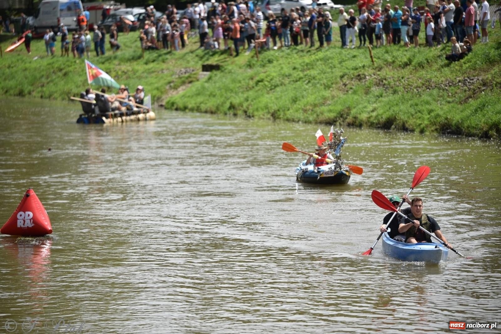 Zdjęcie w galerii na portalu naszraciborz.pl: Pływadło 2024 na bis! Tak to wyglądało w Raciborzu [FOTO] wiadomości z regionu