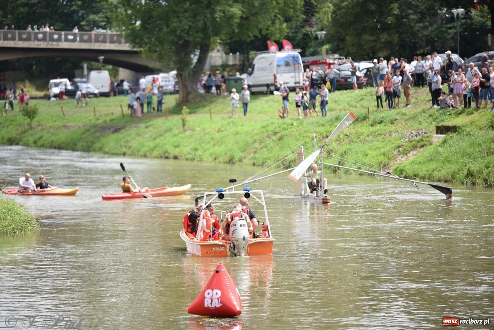 Zdjęcie w galerii na portalu naszraciborz.pl: Pływadło 2024 na bis! Tak to wyglądało w Raciborzu [FOTO] wiadomości z regionu