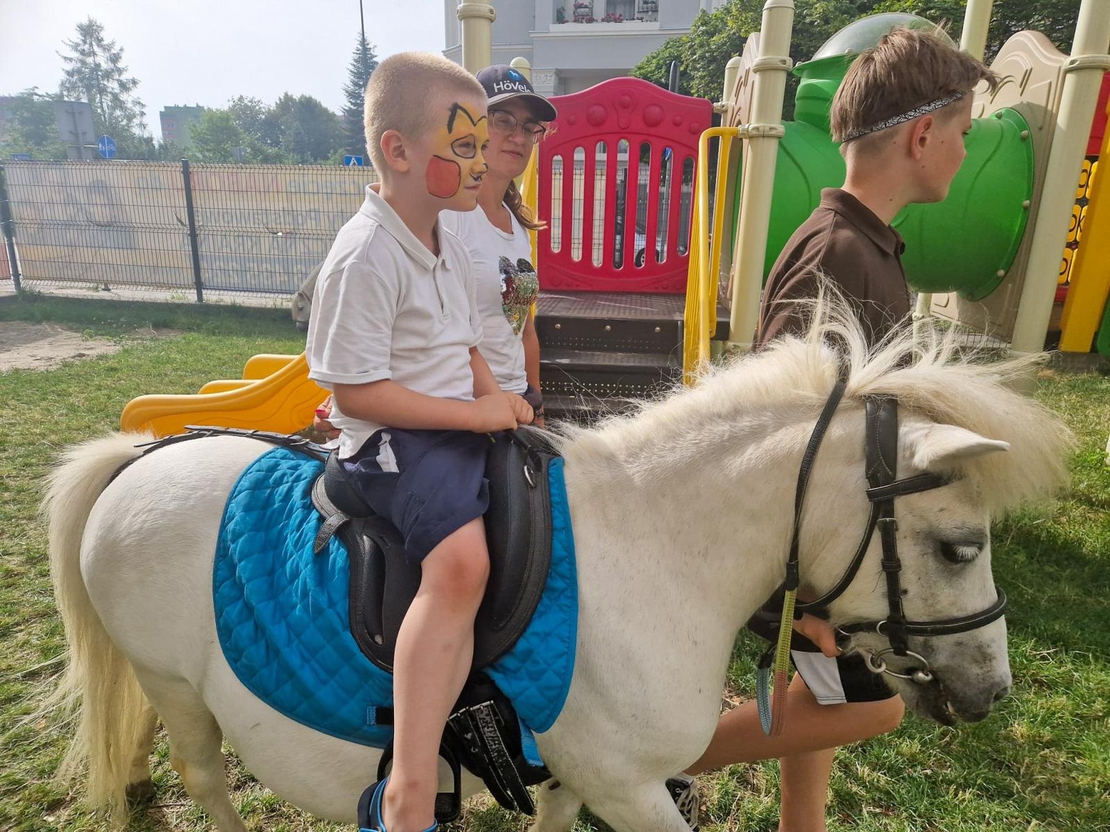 Zdjęcie w galerii na portalu naszraciborz.pl: Rodzinne świętowanie z alpakami i kucykami wiadomości z regionu