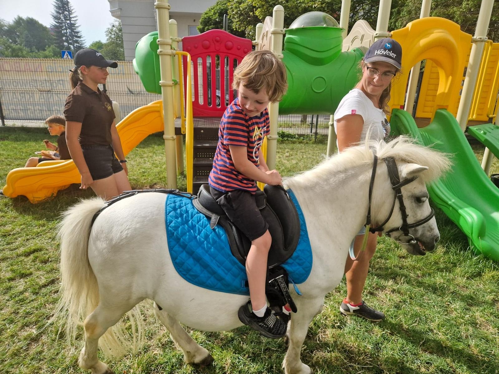 Zdjęcie w galerii na portalu naszraciborz.pl: Rodzinne świętowanie z alpakami i kucykami wiadomości z regionu