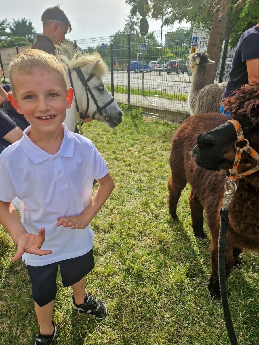 Zdjęcie w galerii na portalu naszraciborz.pl: Rodzinne świętowanie z alpakami i kucykami wiadomości z regionu