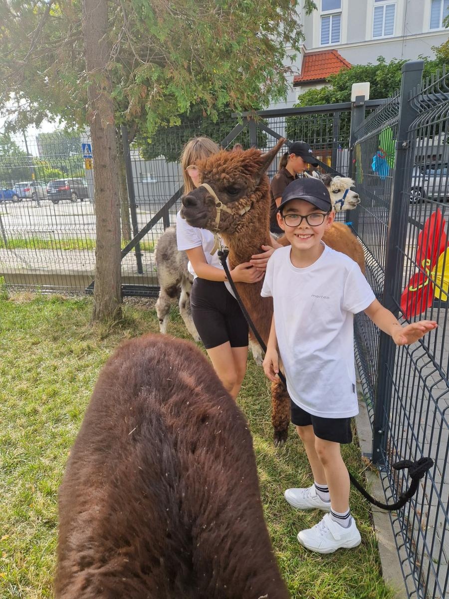 Zdjęcie w galerii na portalu naszraciborz.pl: Rodzinne świętowanie z alpakami i kucykami wiadomości z regionu