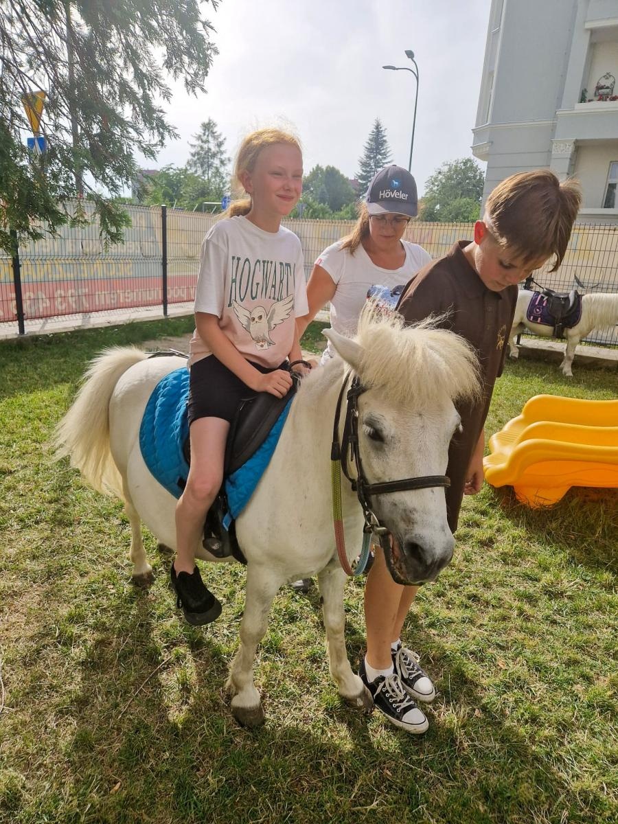Zdjęcie w galerii na portalu naszraciborz.pl: Rodzinne świętowanie z alpakami i kucykami wiadomości z regionu