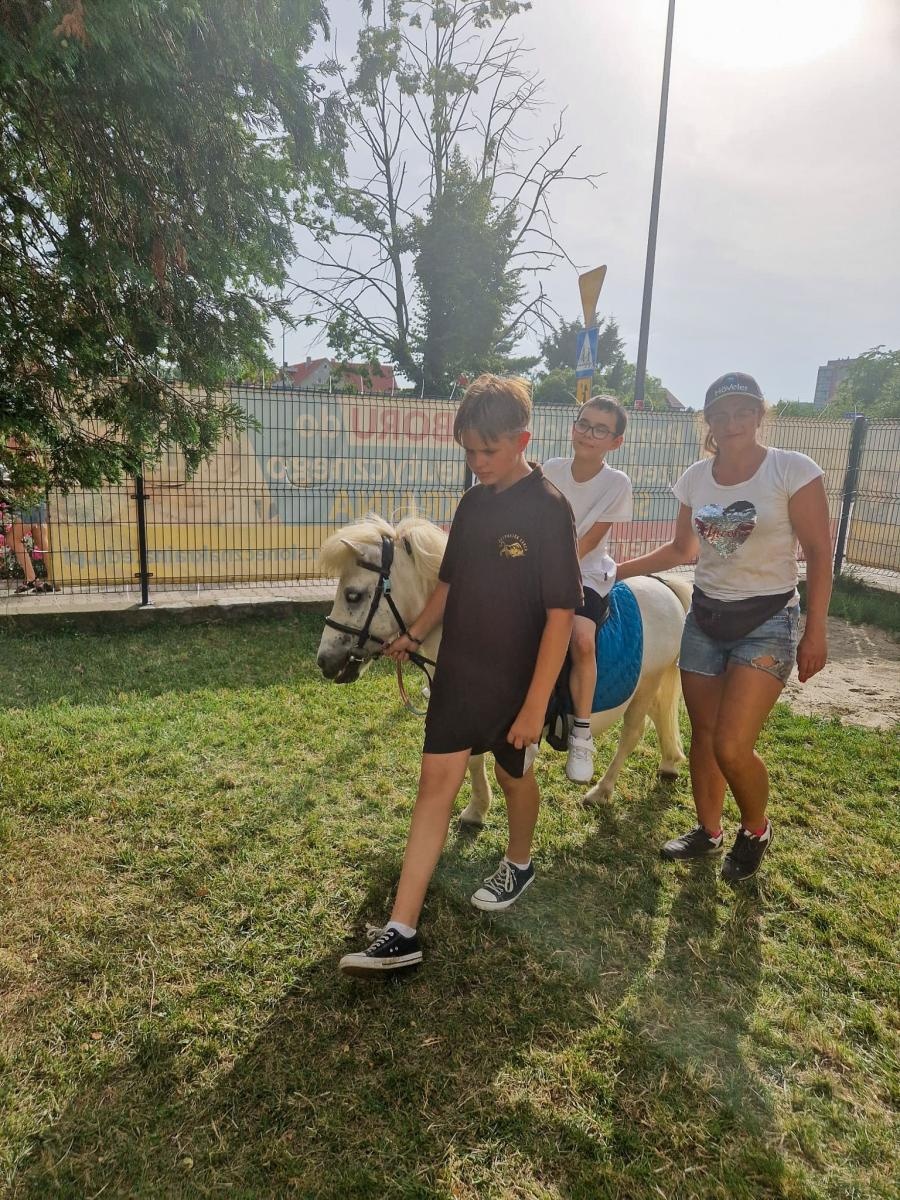 Zdjęcie w galerii na portalu naszraciborz.pl: Rodzinne świętowanie z alpakami i kucykami wiadomości z regionu