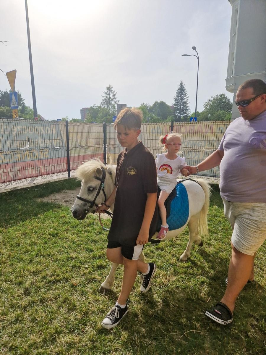 Zdjęcie w galerii na portalu naszraciborz.pl: Rodzinne świętowanie z alpakami i kucykami wiadomości z regionu
