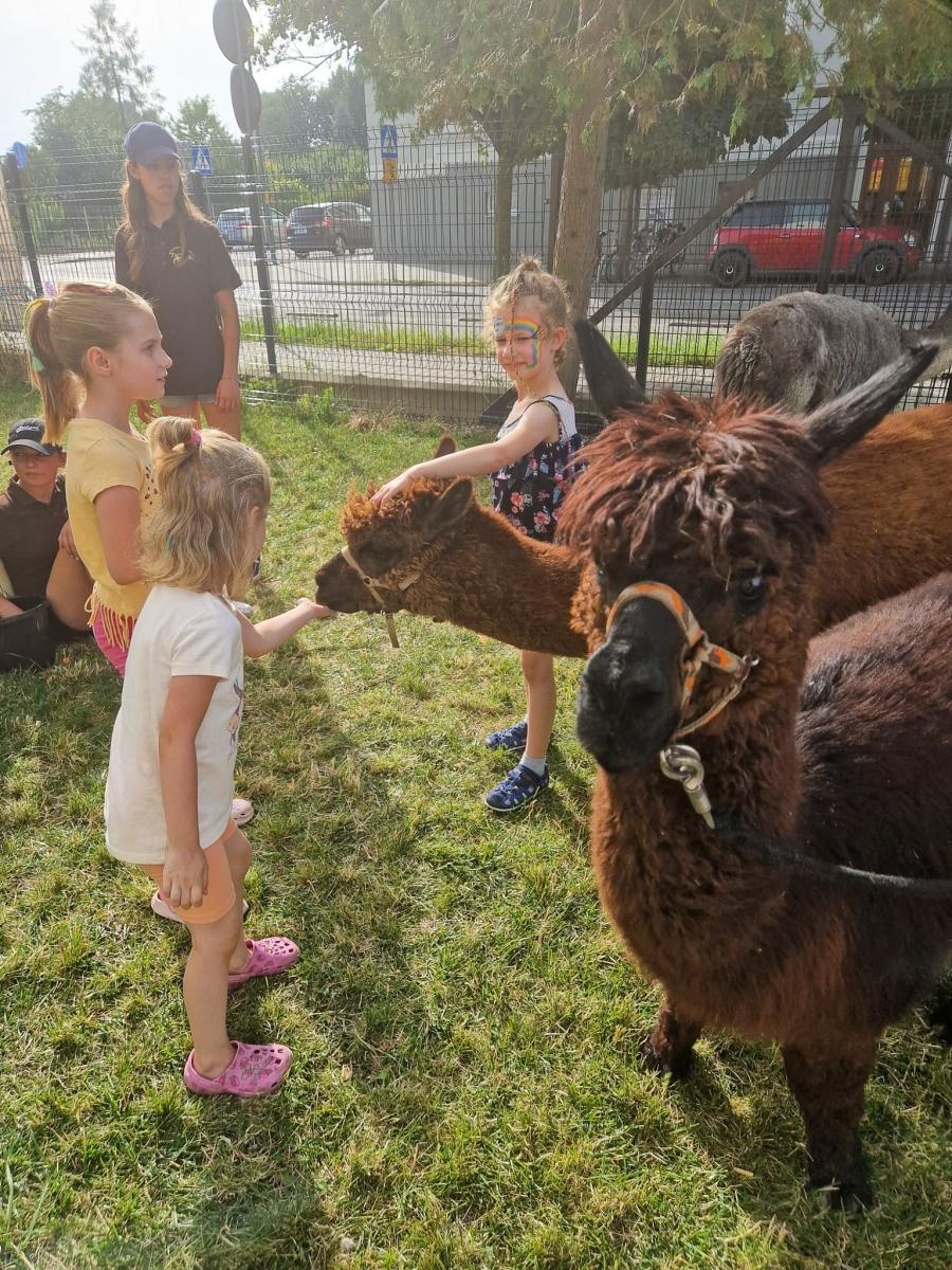 Zdjęcie w galerii na portalu naszraciborz.pl: Rodzinne świętowanie z alpakami i kucykami wiadomości z regionu