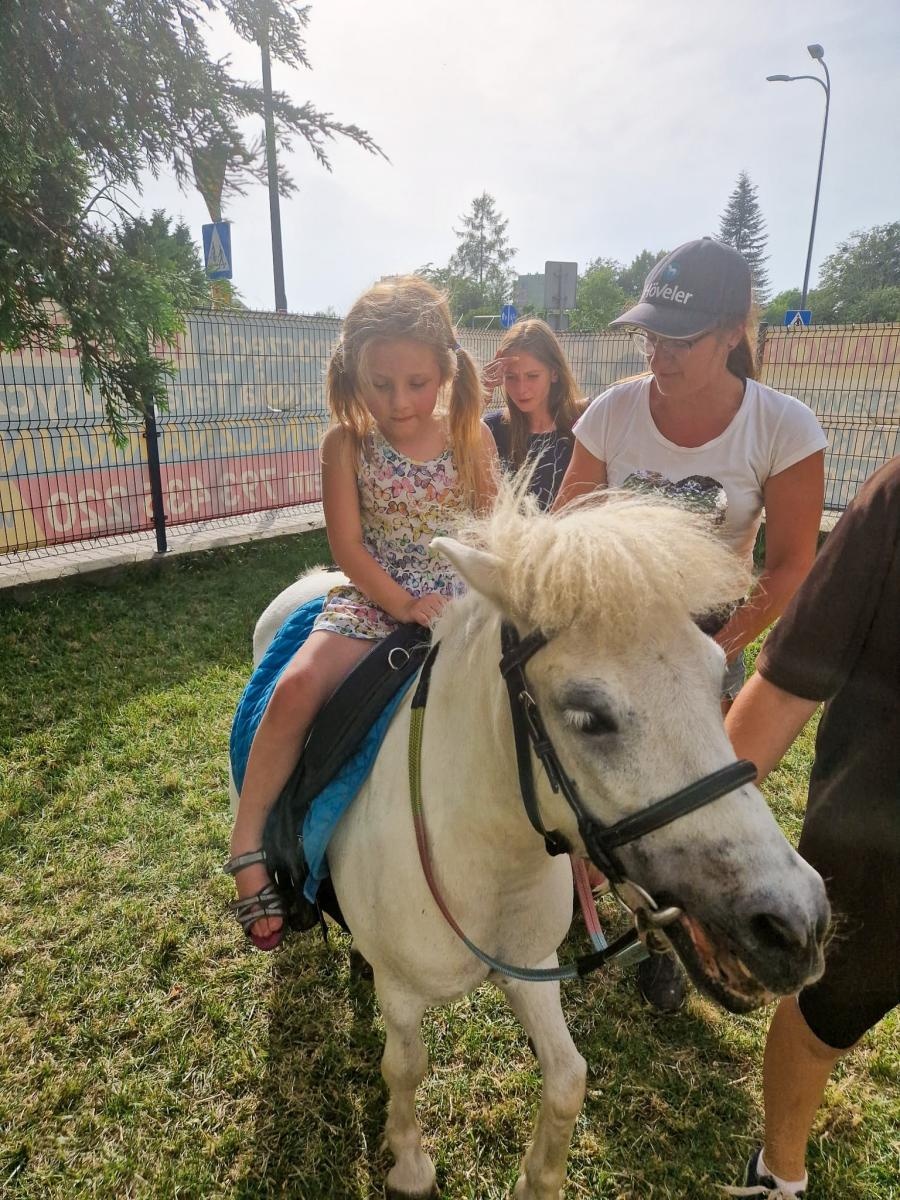 Zdjęcie w galerii na portalu naszraciborz.pl: Rodzinne świętowanie z alpakami i kucykami wiadomości z regionu