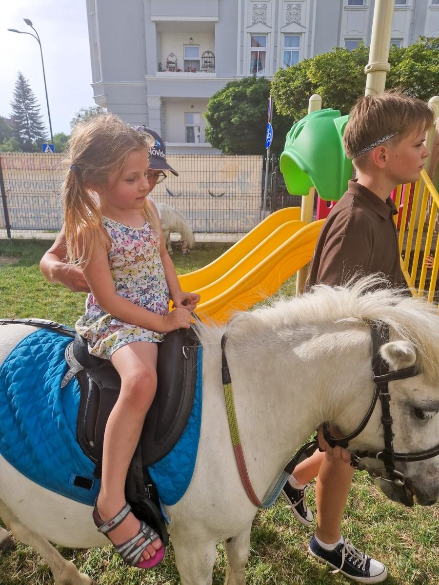 Zdjęcie w galerii na portalu naszraciborz.pl: Rodzinne świętowanie z alpakami i kucykami wiadomości z regionu