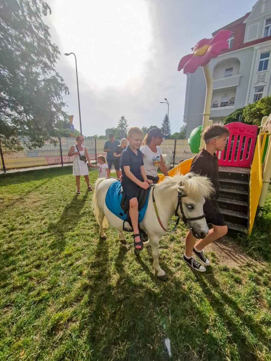 Zdjęcie w galerii na portalu naszraciborz.pl: Rodzinne świętowanie z alpakami i kucykami wiadomości z regionu