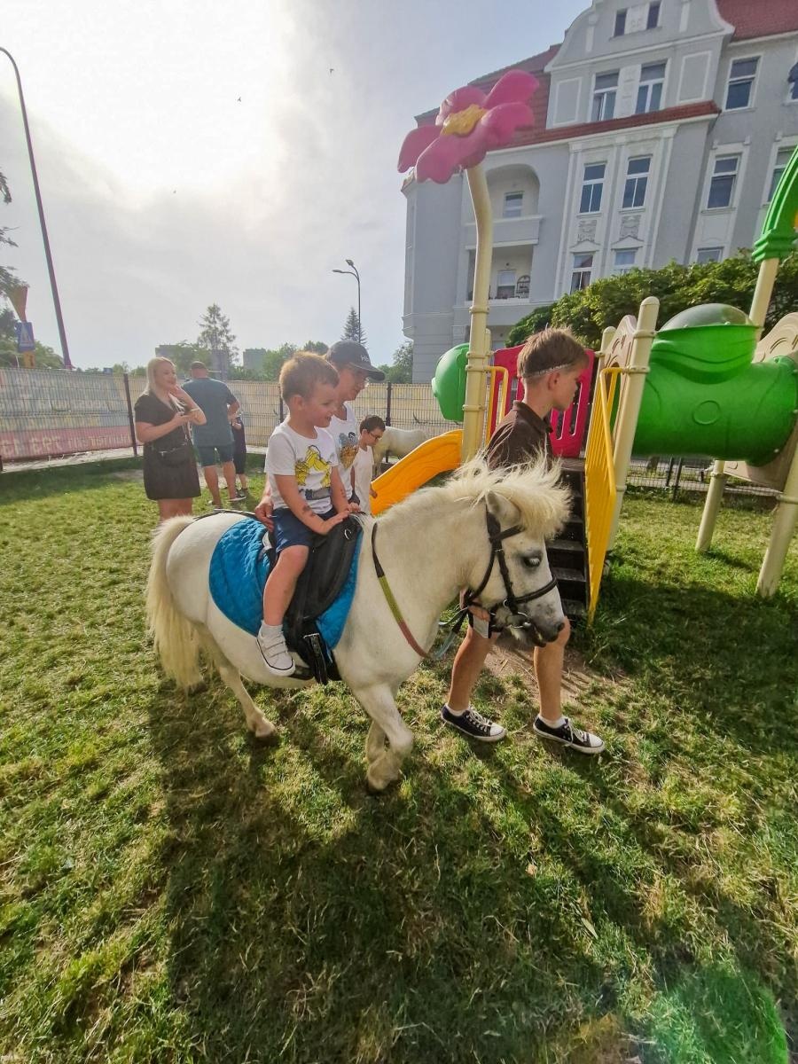 Zdjęcie w galerii na portalu naszraciborz.pl: Rodzinne świętowanie z alpakami i kucykami wiadomości z regionu
