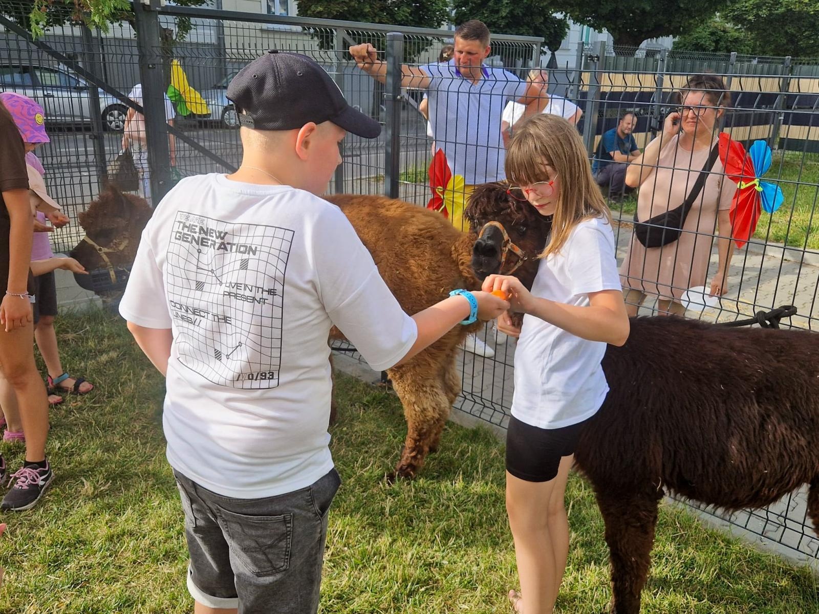 Zdjęcie w galerii na portalu naszraciborz.pl: Rodzinne świętowanie z alpakami i kucykami wiadomości z regionu