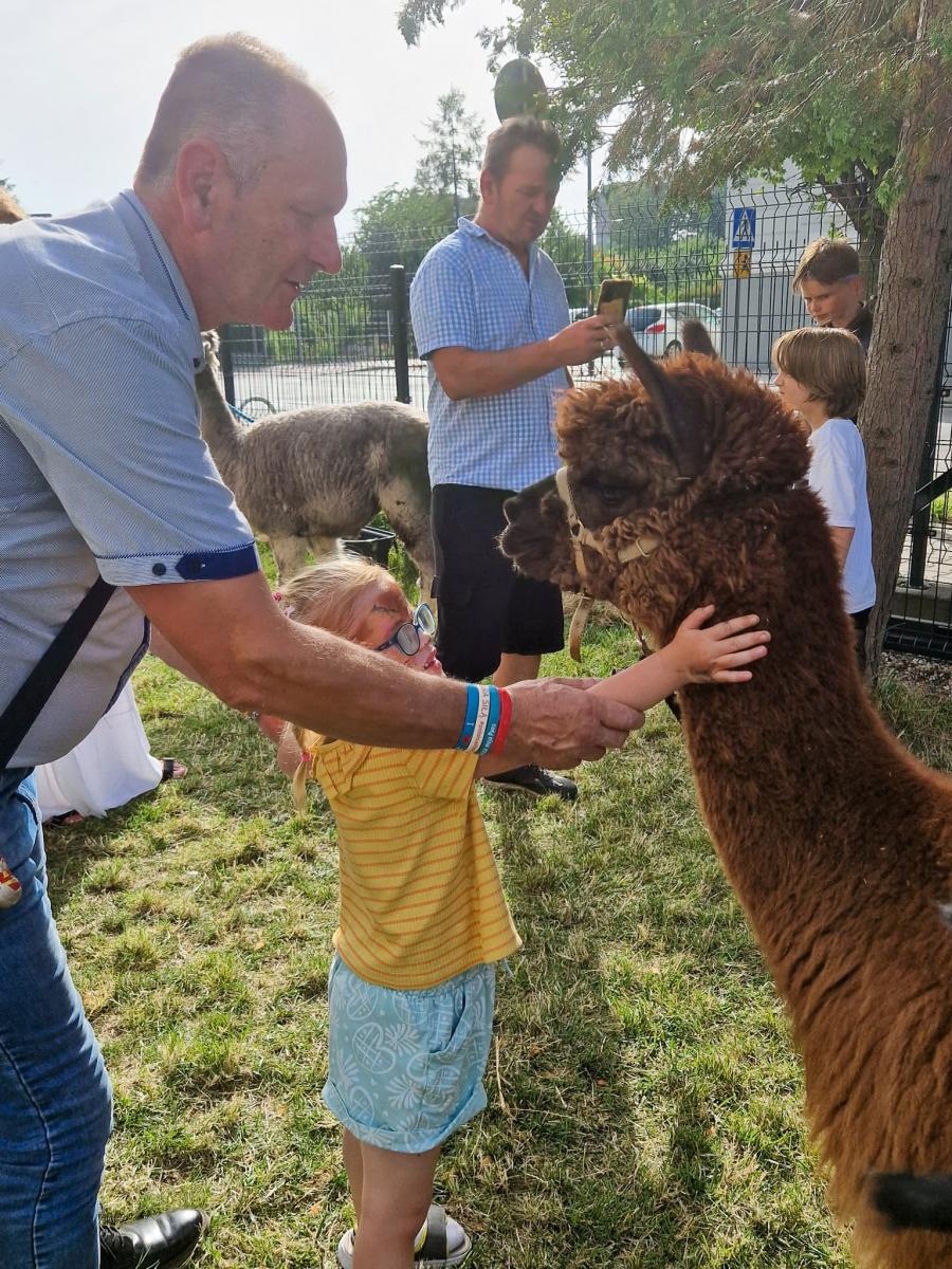 Zdjęcie w galerii na portalu naszraciborz.pl: Rodzinne świętowanie z alpakami i kucykami wiadomości z regionu