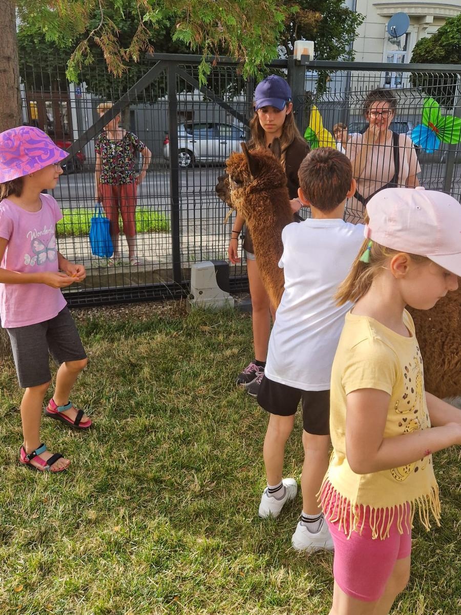 Zdjęcie w galerii na portalu naszraciborz.pl: Rodzinne świętowanie z alpakami i kucykami wiadomości z regionu