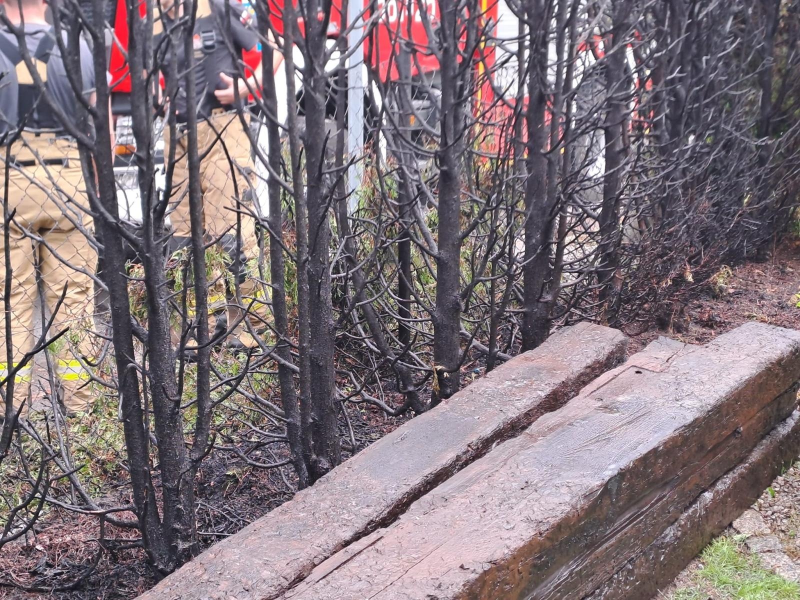 Zdjęcie w galerii na portalu naszraciborz.pl: Tuje poszły z dymem w Tworkowie wiadomości z regionu