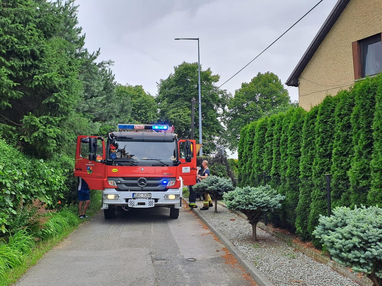 Zdjęcie w galerii na portalu naszraciborz.pl: Tuje poszły z dymem w Tworkowie wiadomości z regionu