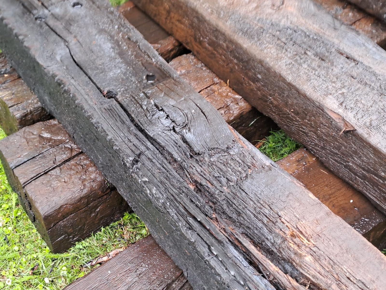 Zdjęcie w galerii na portalu naszraciborz.pl: Tuje poszły z dymem w Tworkowie wiadomości z regionu