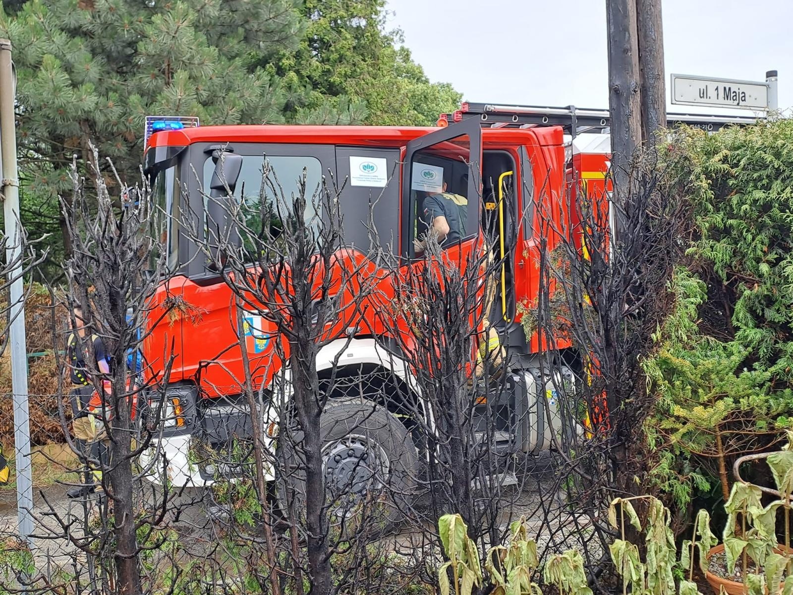 Zdjęcie w galerii na portalu naszraciborz.pl: Tuje poszły z dymem w Tworkowie wiadomości z regionu