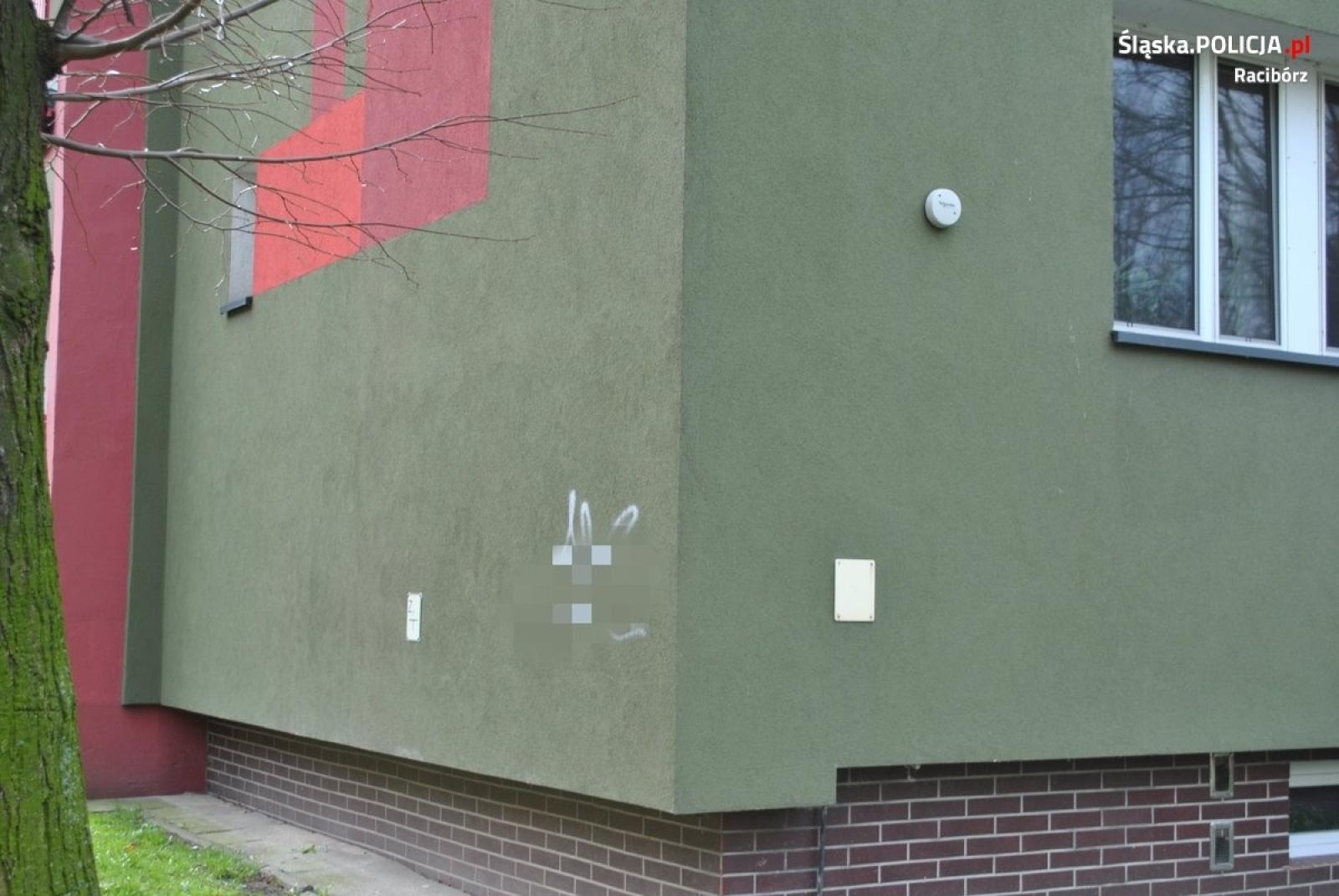 Zdjęcie w galerii na portalu naszraciborz.pl: 44 zarzuty za zniszczenie mienia. Mężczyzna już siedzi w więzieniu wiadomości z regionu