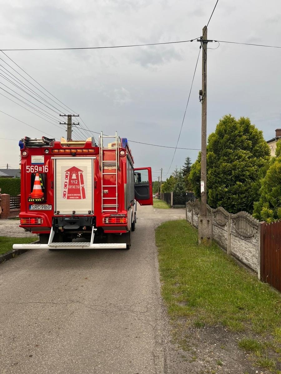 Zdjęcie w galerii na portalu naszraciborz.pl: Wąż na posesji w Nędzy wiadomości z regionu