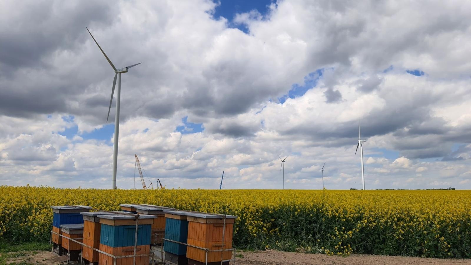 Zdjęcie w galerii na portalu naszraciborz.pl: Montaż wiatraków na farmie wiatrowej Racibórz zakończony [FOTO] wiadomości z regionu