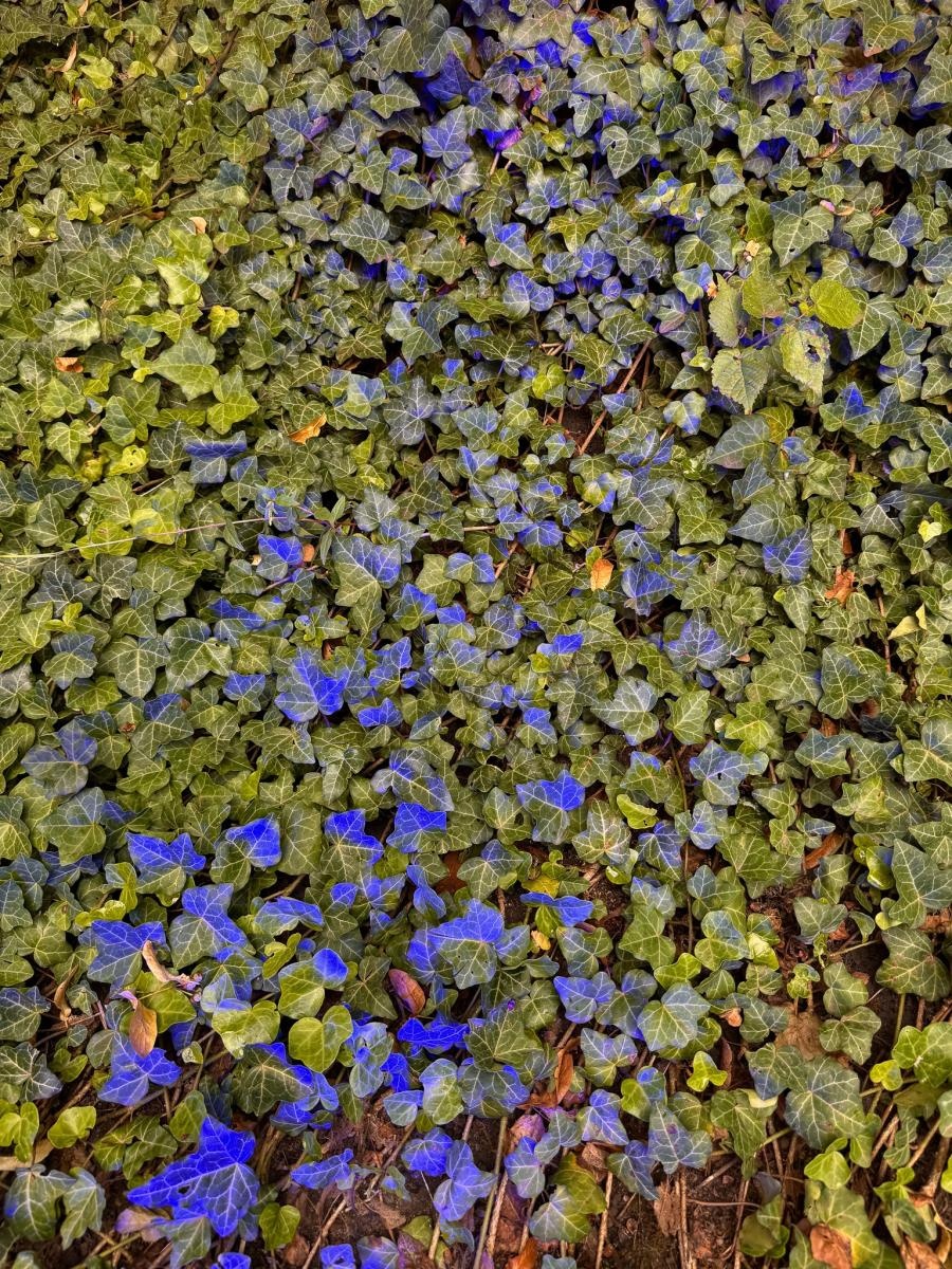 Zdjęcie w galerii na portalu naszraciborz.pl: NOC KULTURY II - zda[e]rzenia niepowtarzalne w RCK już jutro, 28 czerwca wiadomości z regionu