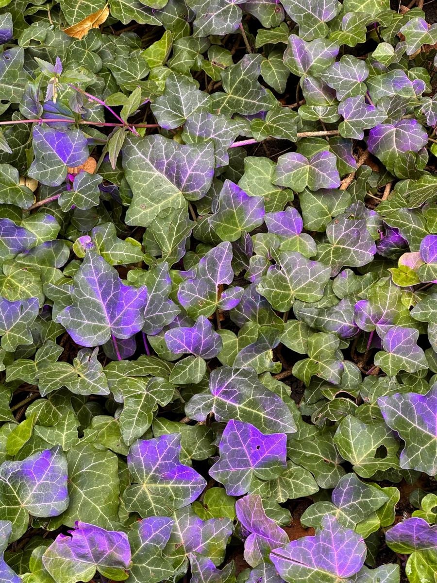 Zdjęcie w galerii na portalu naszraciborz.pl: NOC KULTURY II - zda[e]rzenia niepowtarzalne w RCK już jutro, 28 czerwca wiadomości z regionu