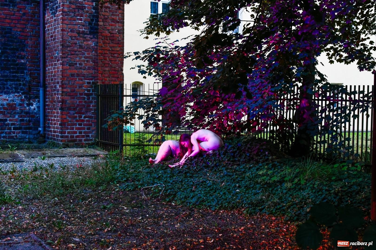 Zdjęcie w galerii na portalu naszraciborz.pl: NOC KULTURY II - Zda[e]rzenia NIEPOWTARZALNE w RCK wiadomości z regionu