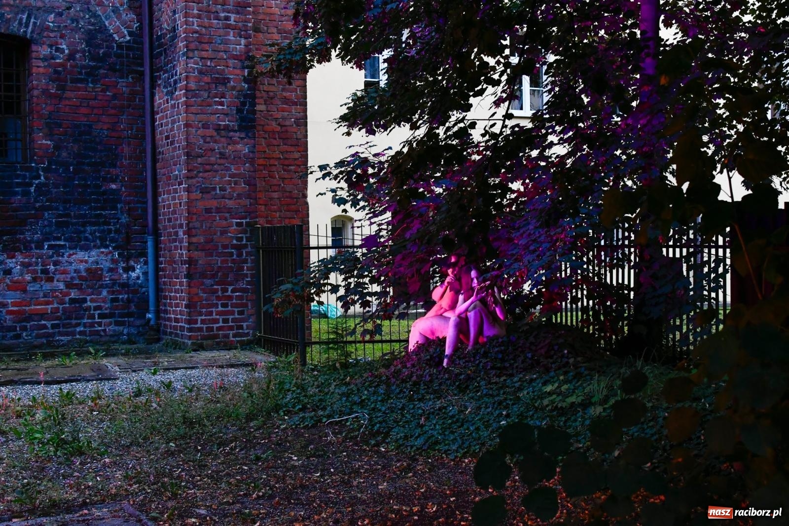 Zdjęcie w galerii na portalu naszraciborz.pl: NOC KULTURY II - Zda[e]rzenia NIEPOWTARZALNE w RCK wiadomości z regionu