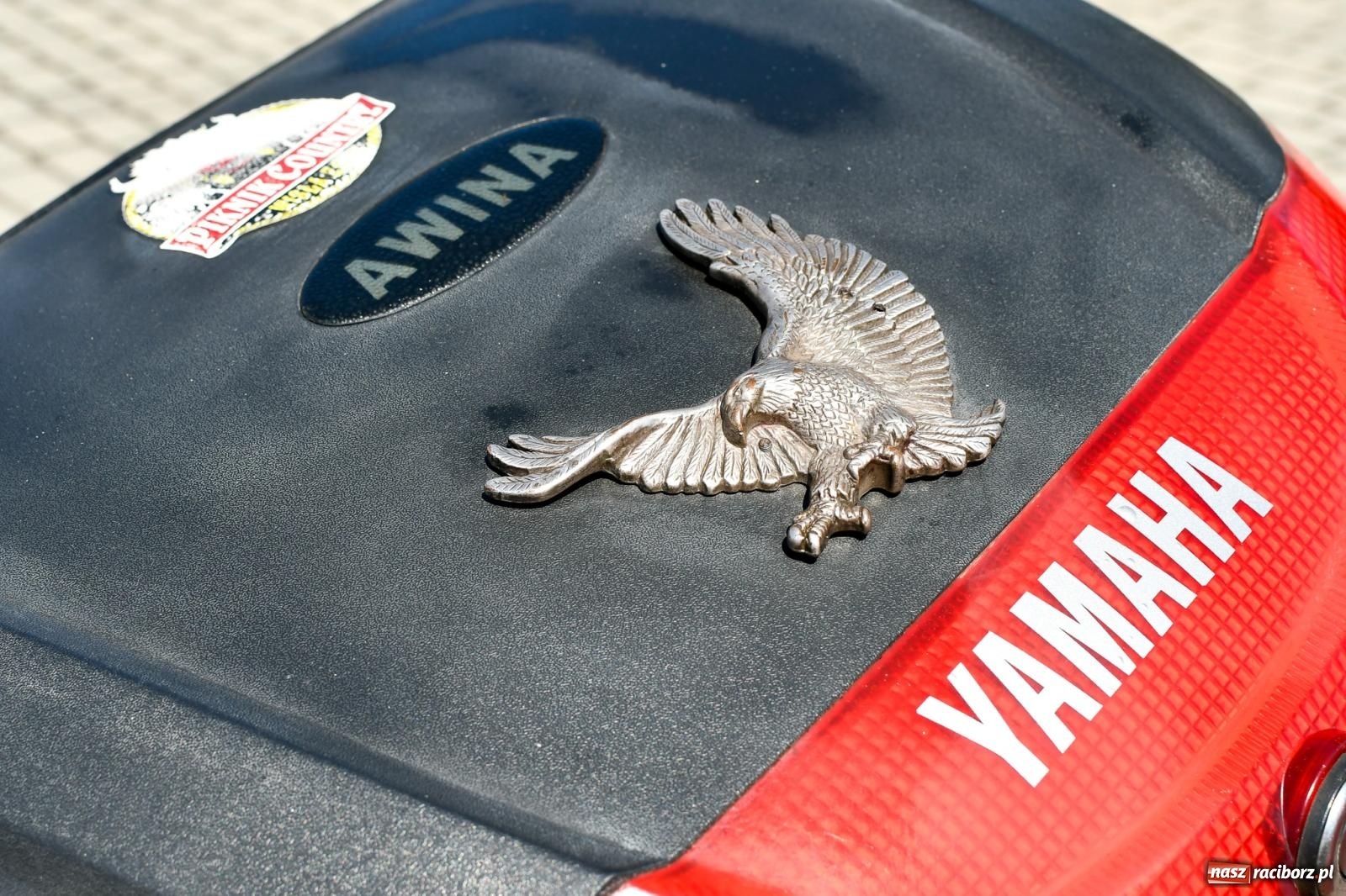 Zdjęcie w galerii na portalu naszraciborz.pl: Stare samochody i motocykle na zlocie w Zabełkowie [FOTO i WIDEO] wiadomości z regionu