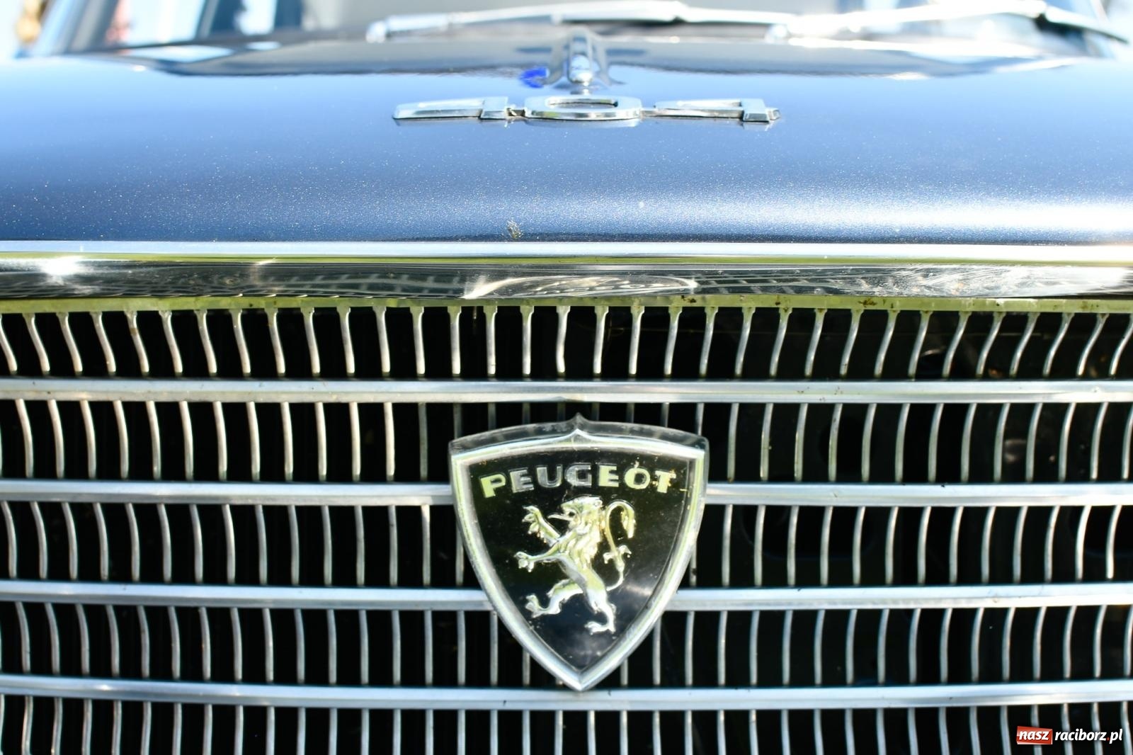 Zdjęcie w galerii na portalu naszraciborz.pl: Stare samochody i motocykle na zlocie w Zabełkowie [FOTO i WIDEO] wiadomości z regionu