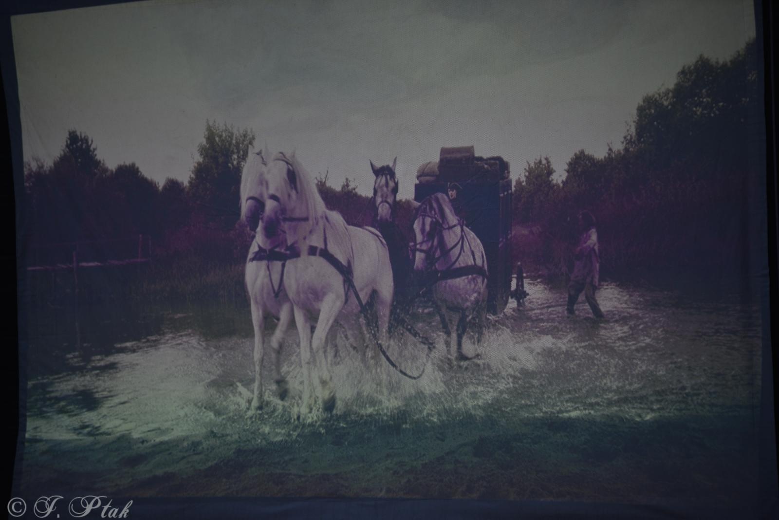 Zdjęcie w galerii na portalu naszraciborz.pl: W kinie na bulwarach nadodrzańskich. Na początek KOS wiadomości z regionu