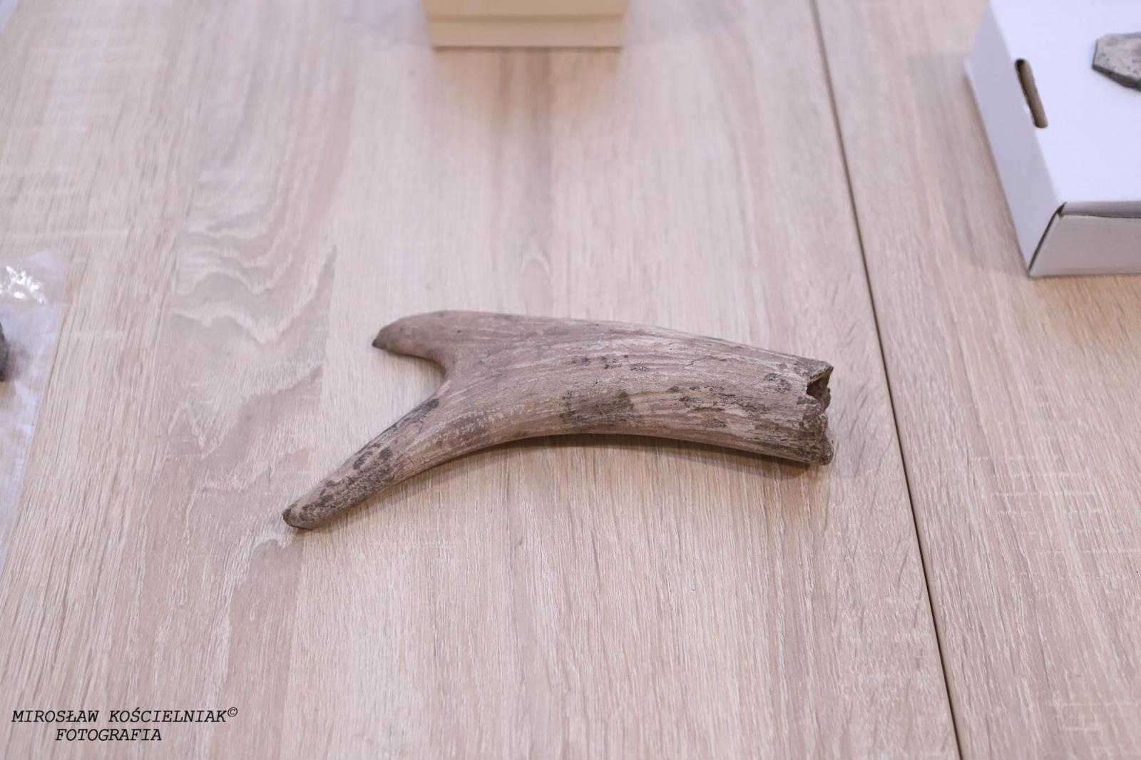 Zdjęcie w galerii na portalu naszraciborz.pl: Raciborskie odkrycia archeologiczne bez tajemnic [FOTO] wiadomości z regionu