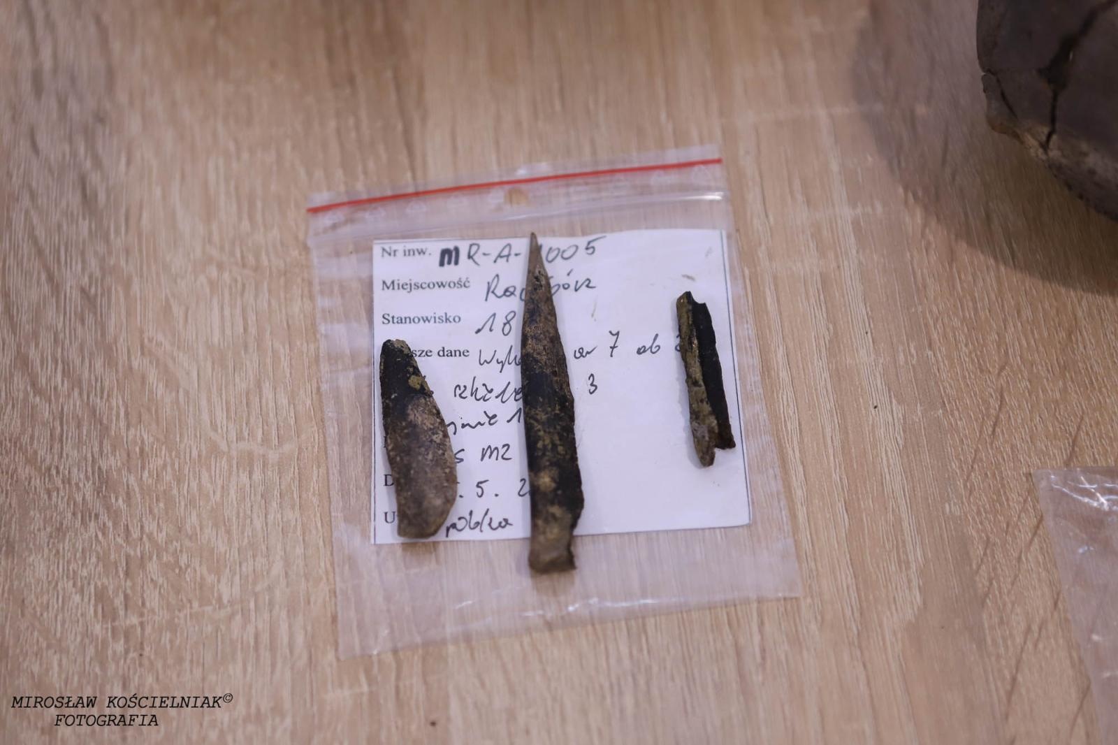 Zdjęcie w galerii na portalu naszraciborz.pl: Raciborskie odkrycia archeologiczne bez tajemnic [FOTO] wiadomości z regionu