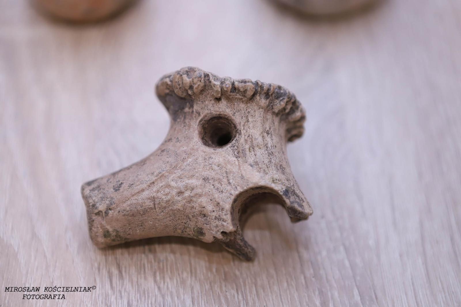 Zdjęcie w galerii na portalu naszraciborz.pl: Raciborskie odkrycia archeologiczne bez tajemnic [FOTO] wiadomości z regionu