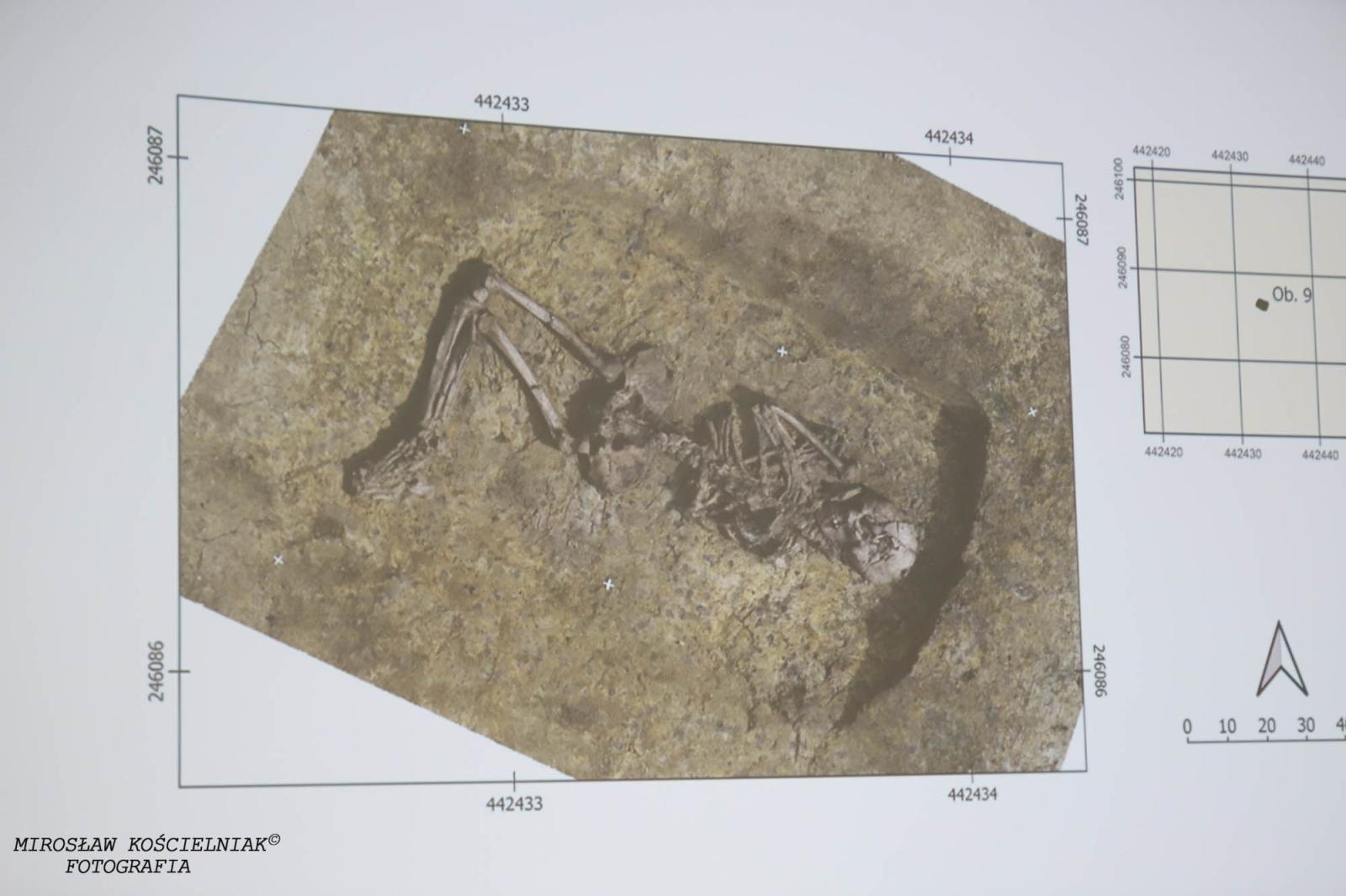 Zdjęcie w galerii na portalu naszraciborz.pl: Raciborskie odkrycia archeologiczne bez tajemnic [FOTO] wiadomości z regionu