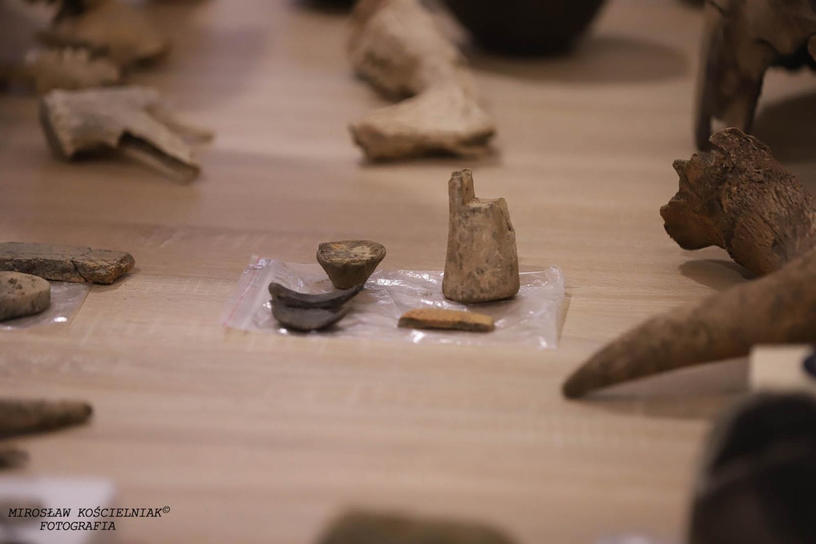 Zdjęcie w galerii na portalu naszraciborz.pl: Raciborskie odkrycia archeologiczne bez tajemnic [FOTO] wiadomości z regionu