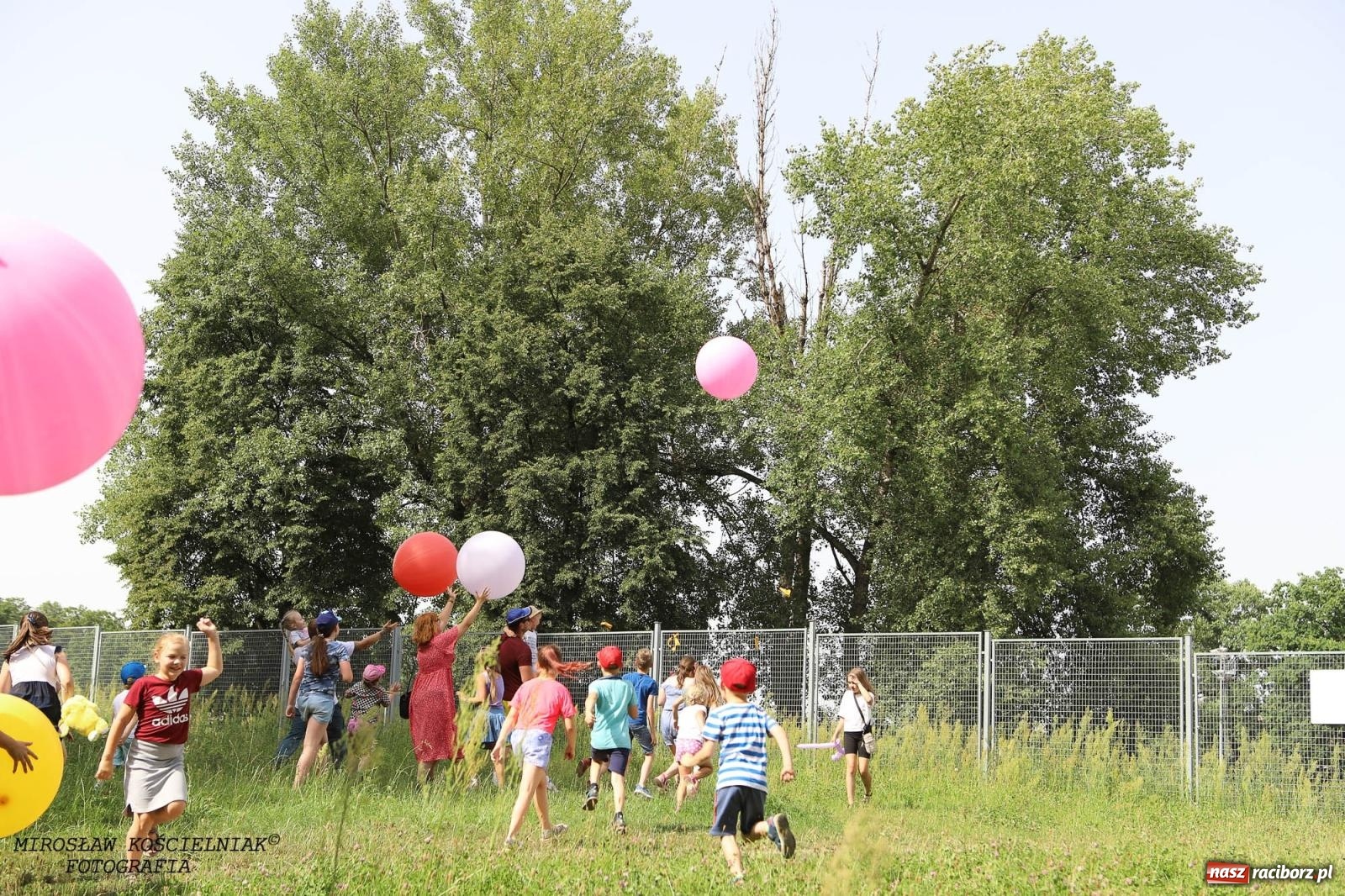 Zdjęcie w galerii na portalu naszraciborz.pl: Kolorowo na raciborskich bulwarach [FOTO] wiadomości z regionu