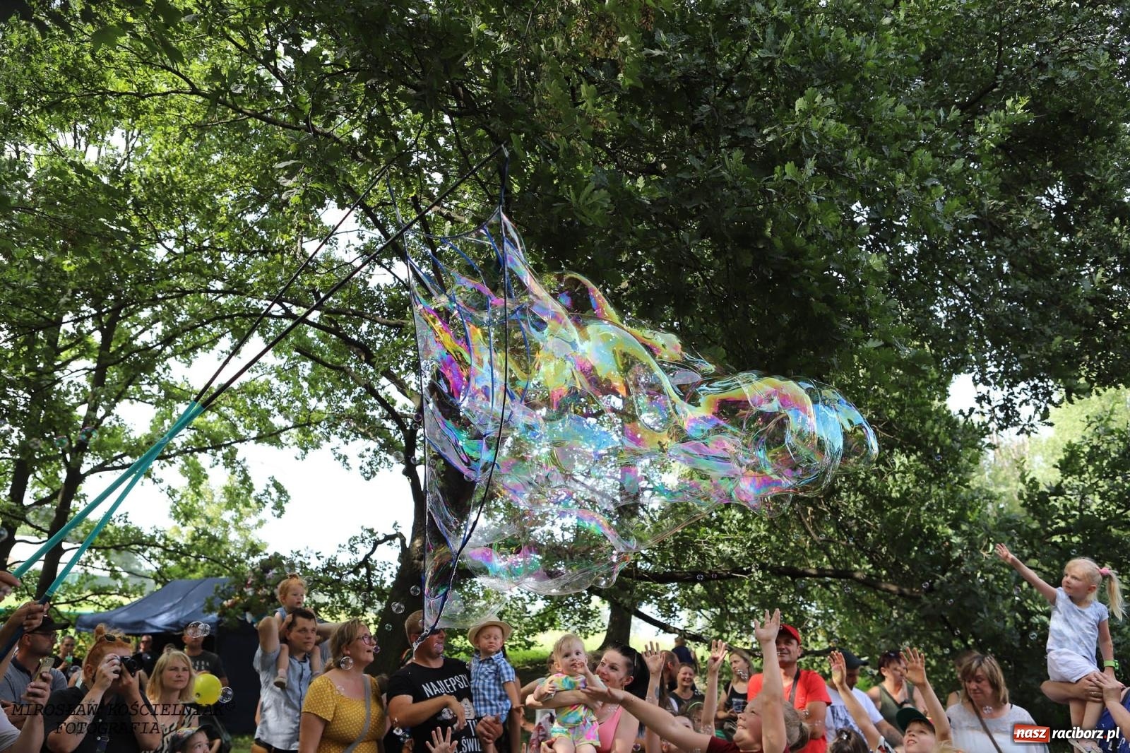 Zdjęcie w galerii na portalu naszraciborz.pl: Kolorowo na raciborskich bulwarach [FOTO] wiadomości z regionu