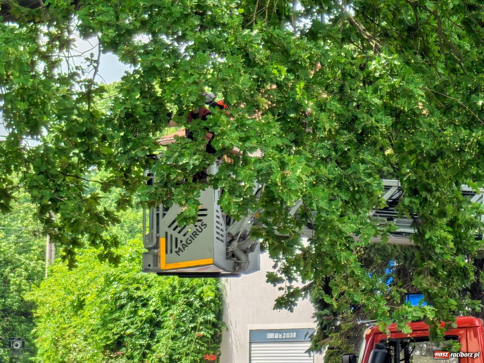 Zdjęcie w galerii na portalu naszraciborz.pl: Strażacy w akcji za hotelem przy Bosackiej [FOTO] wiadomości z regionu