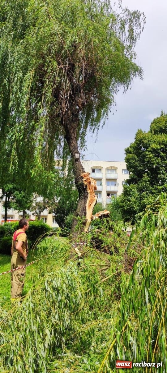 Zdjęcie w galerii na portalu naszraciborz.pl: Strażacy w akcji za hotelem przy Bosackiej [FOTO] wiadomości z regionu