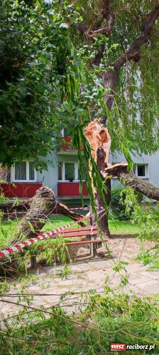 Zdjęcie w galerii na portalu naszraciborz.pl: Strażacy w akcji za hotelem przy Bosackiej [FOTO] wiadomości z regionu