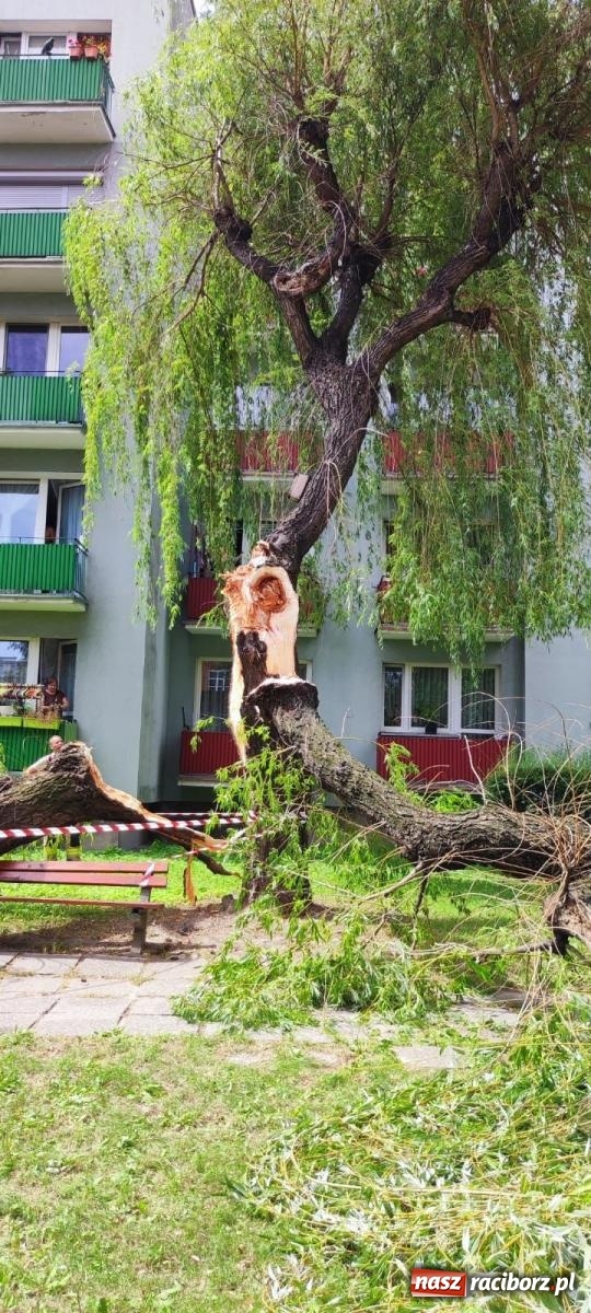 Zdjęcie w galerii na portalu naszraciborz.pl: Strażacy w akcji za hotelem przy Bosackiej [FOTO] wiadomości z regionu