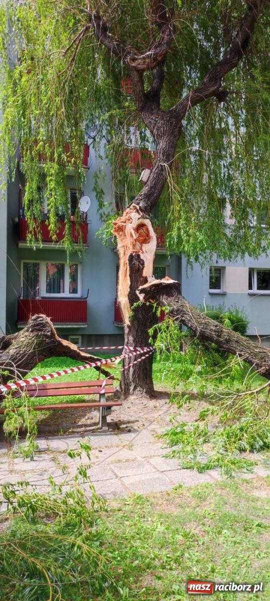 Zdjęcie w galerii na portalu naszraciborz.pl: Strażacy w akcji za hotelem przy Bosackiej [FOTO] wiadomości z regionu