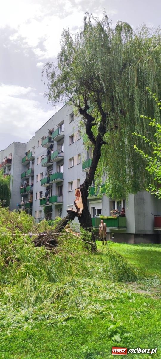 Zdjęcie w galerii na portalu naszraciborz.pl: Strażacy w akcji za hotelem przy Bosackiej [FOTO] wiadomości z regionu