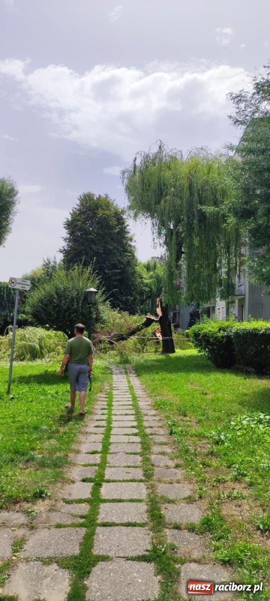 Zdjęcie w galerii na portalu naszraciborz.pl: Strażacy w akcji za hotelem przy Bosackiej [FOTO] wiadomości z regionu