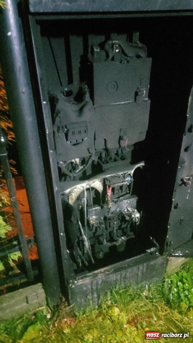 Zdjęcie w galerii na portalu naszraciborz.pl: Strażacy w akcji za hotelem przy Bosackiej [FOTO] wiadomości z regionu