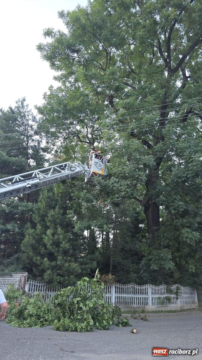 Zdjęcie w galerii na portalu naszraciborz.pl: Strażacy w akcji za hotelem przy Bosackiej [FOTO] wiadomości z regionu